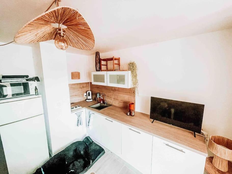 La Casita ,Appartement Face A L'Etang เลอบาร์กาแรส ภายนอก รูปภาพ